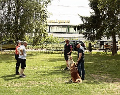 Fun_Pokal_Juli_2017_022