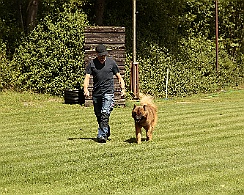 Fun_Pokal_Juli_2017_024