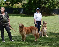 Ferienspielkinder_2017_DSC_5044-010