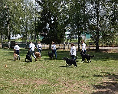 Ferienspielkinder_2017_DSC_5053-018