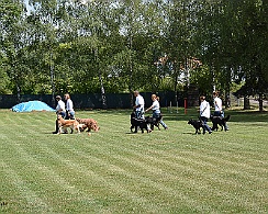 Ferienspielkinder_2017_DSC_5054-019