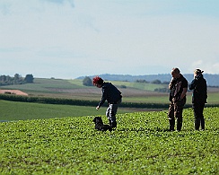 Faehrtentag_2017_16_09_010