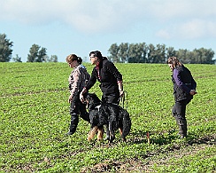 Faehrtentag_2017_16_09_015