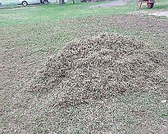 Platzsanierung_Maerz_201720170409-20170324_095833