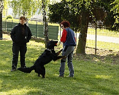 Trainingswochenende_April_2017_008