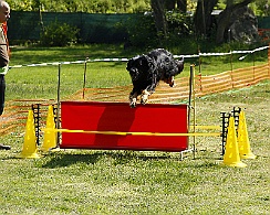 Trainingswochenende_April_2017_022