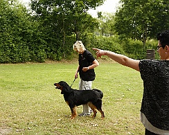 Trainingswochenende_Juli_2017__MG_2294-008