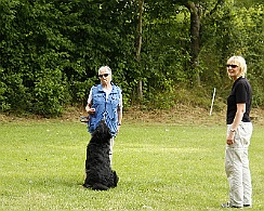 Trainingswochenende_Juli_2017__MG_2305-018