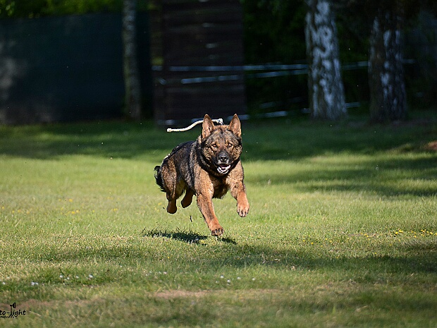 Trainingswochenende April