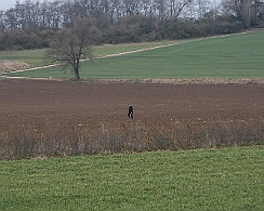 Fruehjahrspruefung_Maerz_20180317-IMG_9357