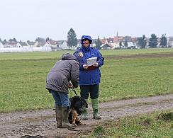 Fruehjahrspruefung_Maerz_20180317-IMG_9362