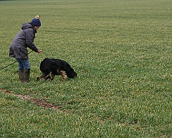 Fruehjahrspruefung_Maerz_20180317-IMG_9363