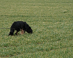 Fruehjahrspruefung_Maerz_20180317-IMG_9364