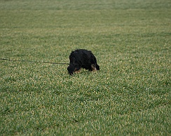 Fruehjahrspruefung_Maerz_20180317-IMG_9366