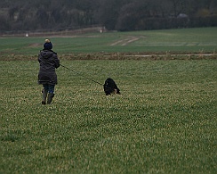 Fruehjahrspruefung_Maerz_20180317-IMG_9367