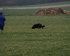 Fruehjahrspruefung_Maerz_20180317-IMG_9368