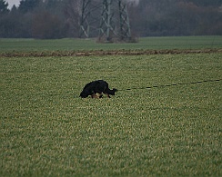 Fruehjahrspruefung_Maerz_20180317-IMG_9369