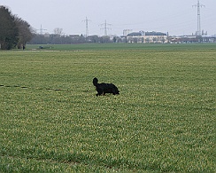 Fruehjahrspruefung_Maerz_20180317-IMG_9372