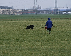 Fruehjahrspruefung_Maerz_20180317-IMG_9374