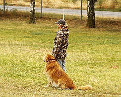 Fun_Pokal_2018__MG_3691-20180721
