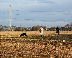 Herbstprüfung_November_2018_DSC_9173-20181111