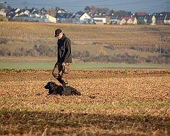 Herbstprüfung_November_2018_DSC_9174-20181111