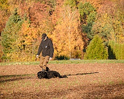 Herbstprüfung_November_2018_DSC_9179-20181111