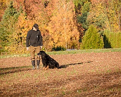 Herbstprüfung_November_2018_DSC_9181-20181111