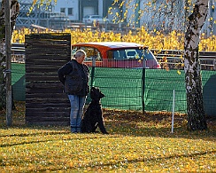 Herbstprüfung_November_2018_DSC_9187-20181111