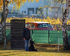 Herbstprüfung_November_2018_DSC_9188-20181111