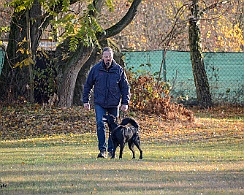 Herbstprüfung_November_2018_DSC_9189-20181111