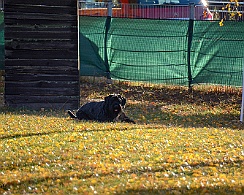 Herbstprüfung_November_2018_DSC_9191-20181111