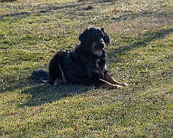 Ollmann_Workshop_20180224-DSC_6503