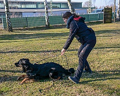 Ollmann_Workshop_20180224-DSC_6512