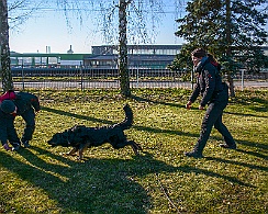 Ollmann_Workshop_20180224-DSC_6514