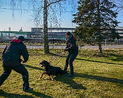 Ollmann_Workshop_20180224-DSC_6517