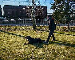 Ollmann_Workshop_20180224-DSC_6518