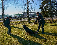 Ollmann_Workshop_20180224-DSC_6520