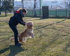 Ollmann_Workshop_20180224-DSC_6529