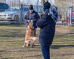 Ollmann_Workshop_20180224-DSC_6530