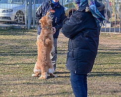 Ollmann_Workshop_20180224-DSC_6531