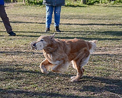 Ollmann_Workshop_20180224-DSC_6535