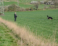 Frühjahrsprüfung_März_2019_DSC_1369