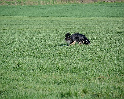 Frühjahrsprüfung_März_2019_DSC_1370