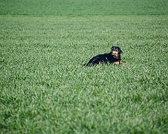 Frühjahrsprüfung_März_2019_DSC_1371