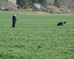 Frühjahrsprüfung_März_2019_DSC_1372