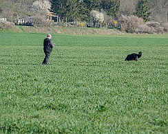 Frühjahrsprüfung_März_2019_DSC_1373