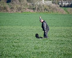 Frühjahrsprüfung_März_2019_DSC_1374