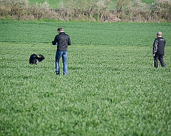 Frühjahrsprüfung_März_2019_DSC_1375