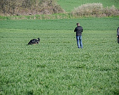 Frühjahrsprüfung_März_2019_DSC_1376